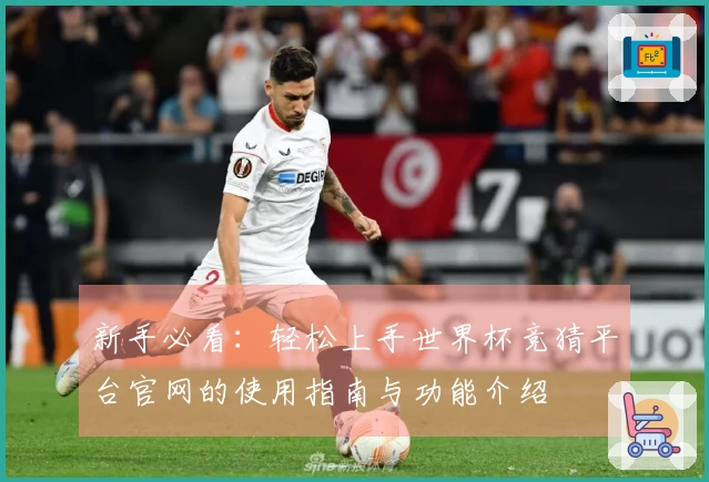 新手必看:轻松上手世界杯竞猜平台官网的使用指南与功能介绍