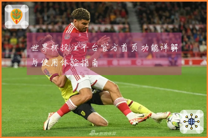 世界杯投注平台官方首页功能详解与使用体验指南