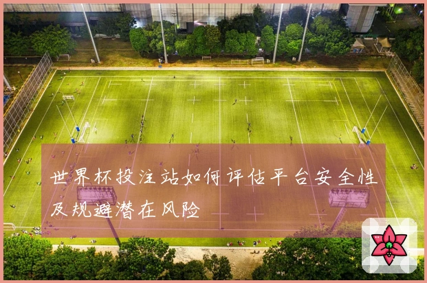 世界杯投注站如何评估平台安全性及规避潜在风险