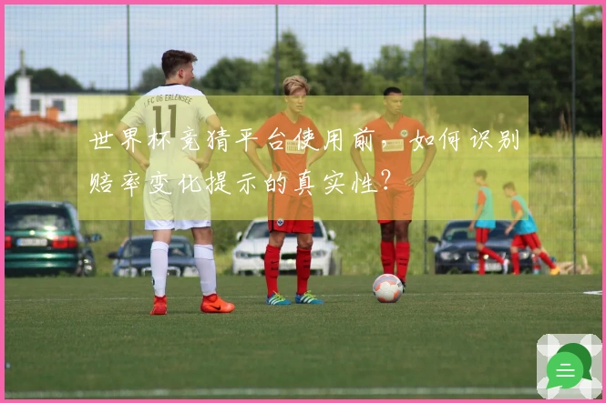 世界杯竞猜平台使用前，如何识别赔率变化提示的真实性？