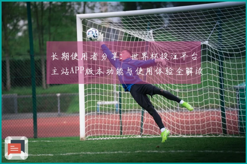 长期使用者分享：世界杯投注平台主站APP版本功能与使用体验全解读
