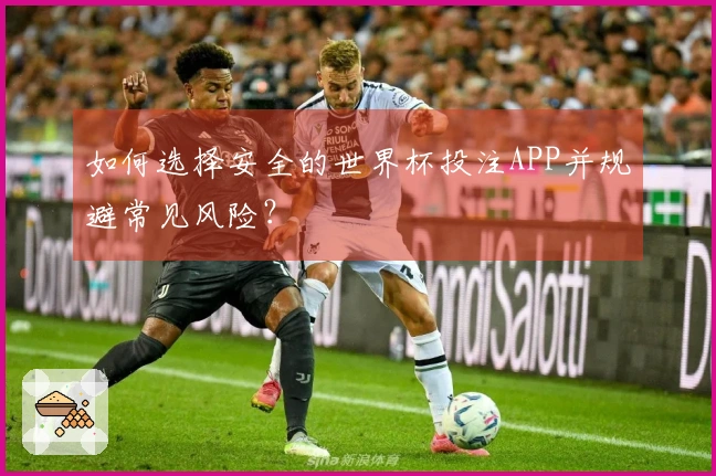 如何选择安全的世界杯投注APP并规避常见风险？